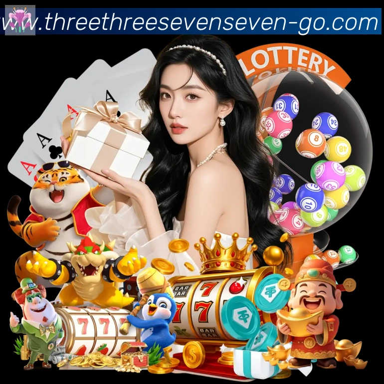 3377体育荣誉